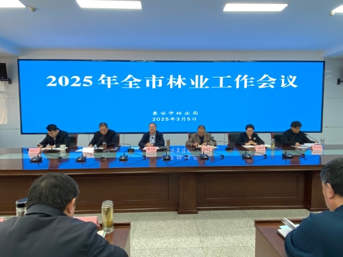 2025年全市林业工作会议召开